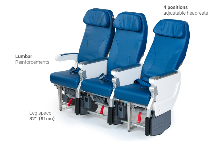 economy class french bee