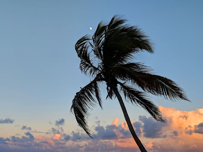 Billet d'avion Bordeaux - Punta Cana