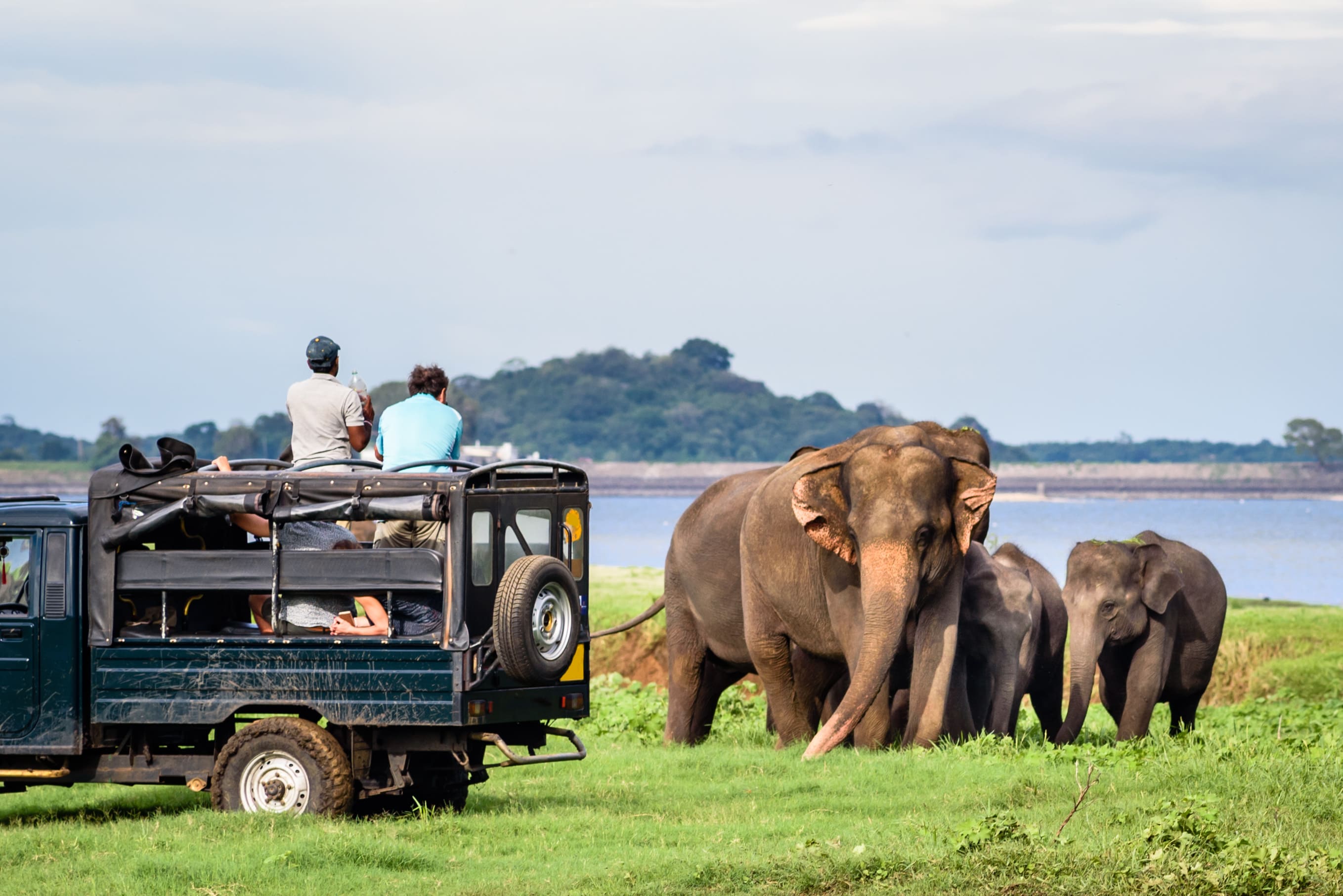 Jour 8 : Yala, safari au pays des léopards